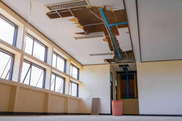 Best Water damage restoration insurance claims  in Roebuck, SC
