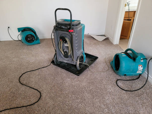 Best Commercial water damage restoration  in Roebuck, SC