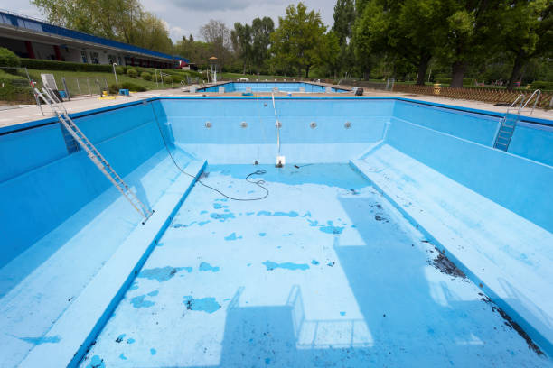 Best Basement water damage restoration  in Roebuck, SC