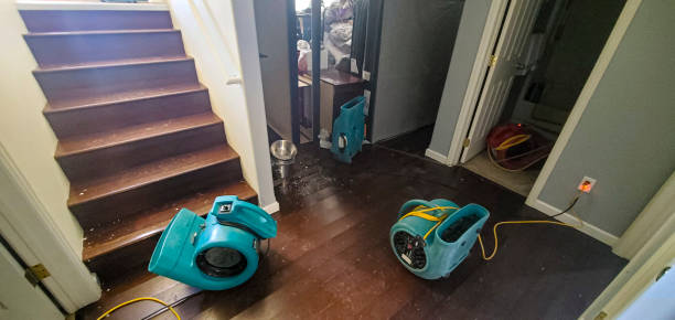 Best Mold removal after water damage  in Roebuck, SC