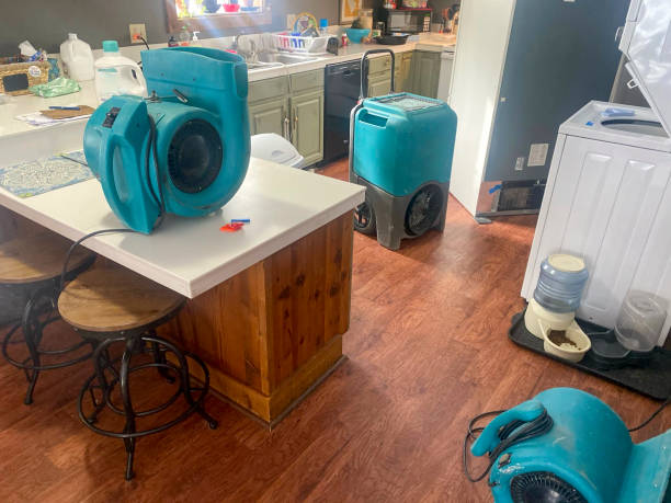 Best Sewage cleanup and water damage restoration  in Roebuck, SC