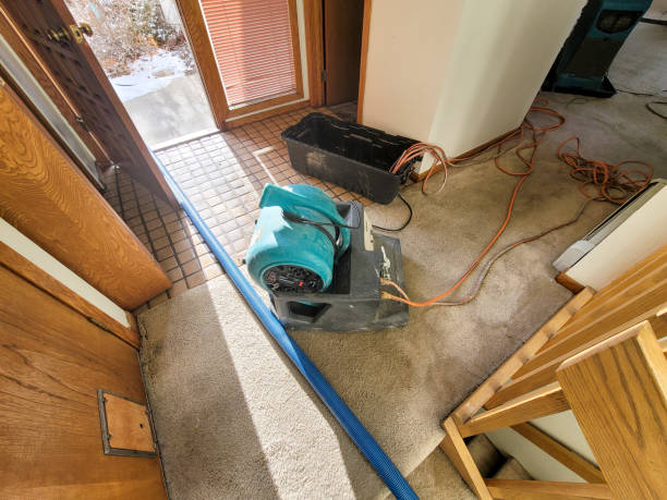 Best Water damage restoration process  in Roebuck, SC