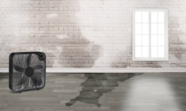 Best Sewage cleanup and water damage restoration  in Roebuck, SC