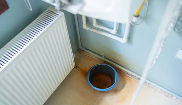 Best Water damage cleanup near me  in Roebuck, SC