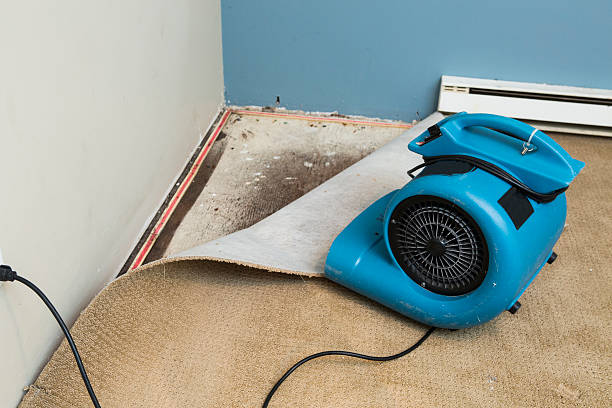 Best Local water damage restoration  in Roebuck, SC